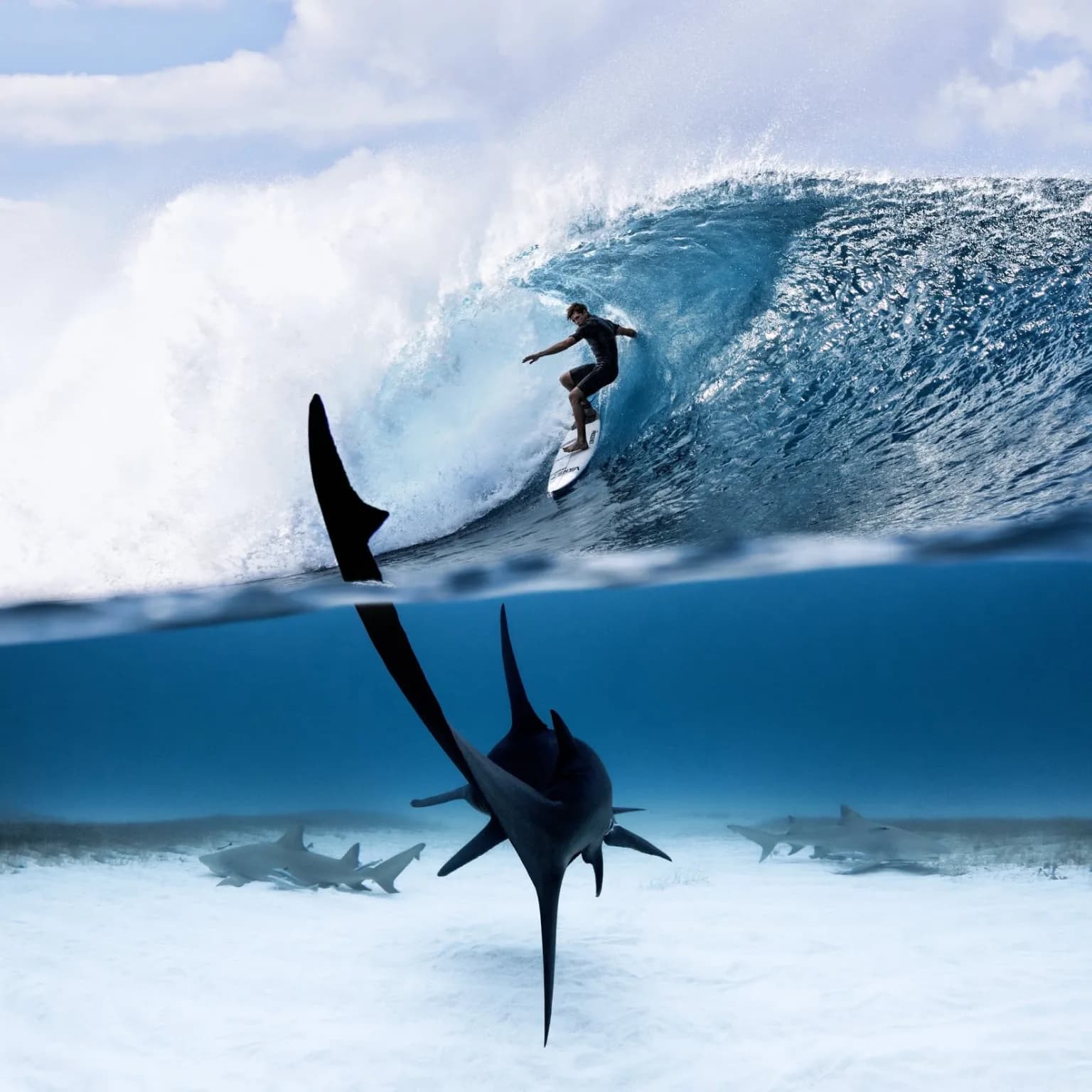 The Waterline by Szjanko & Zoard